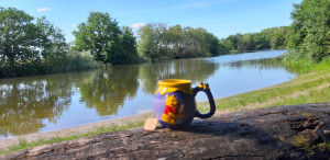 photo gallery image 01