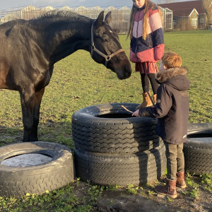 photo gallery image 01