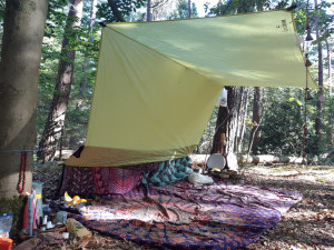 photo gallery image 01