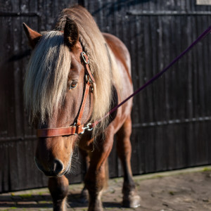 photo gallery image 01