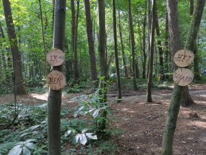 photo gallery image 01