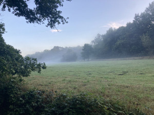 photo gallery image 01