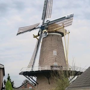 photo gallery image 01