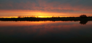 photo gallery image 01