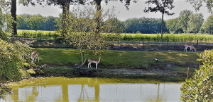 photo gallery image 01