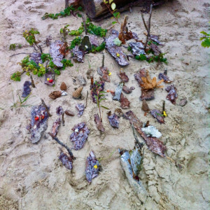 photo gallery image 01