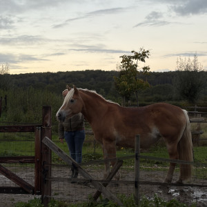 photo gallery image 01