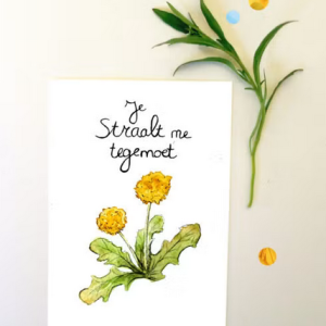 photo gallery image 01