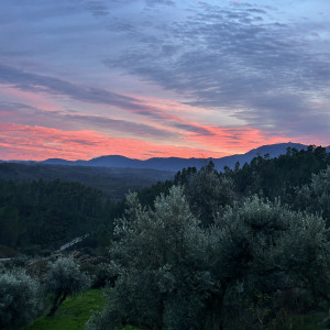 photo gallery image 01