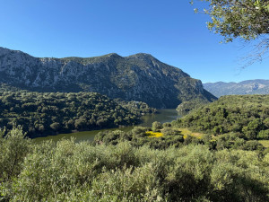 photo gallery image 01