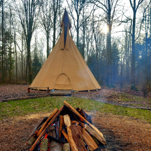 photo gallery image 01