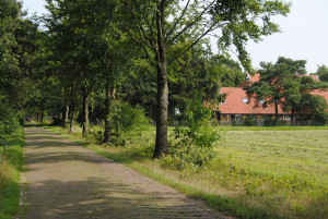 photo gallery image 01