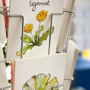 photo gallery image 01