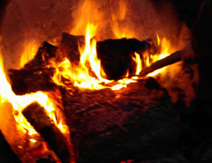 photo gallery image 01