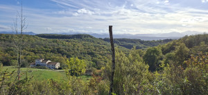 photo gallery image 01
