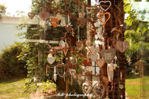 photo gallery image 01