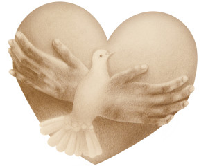 photo gallery image 01