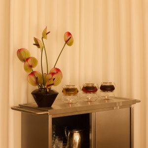 photo gallery image 01