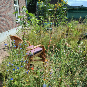 photo gallery image 01