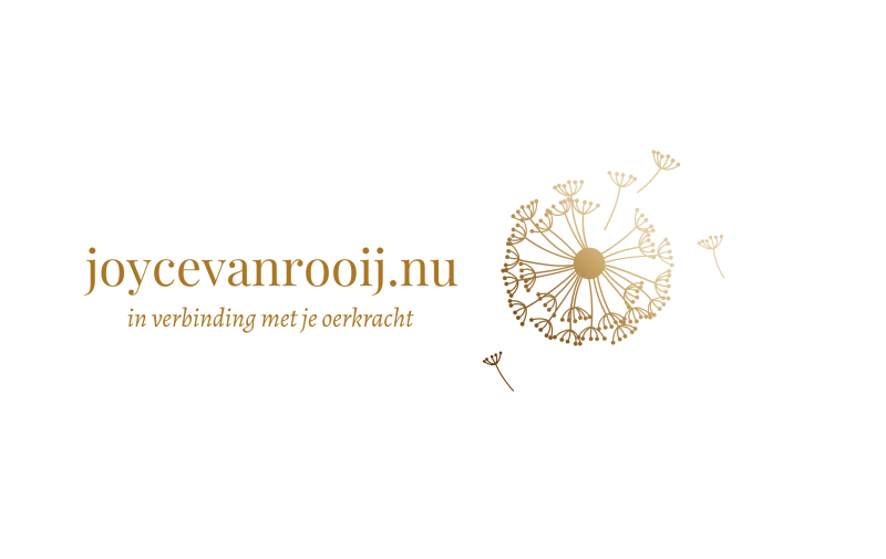 joycevanrooij.nu