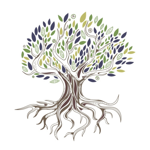 Zhineng Qigong Flevoland