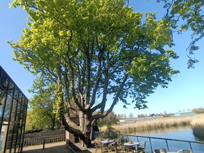 Infinity Spirituele Beurzen
