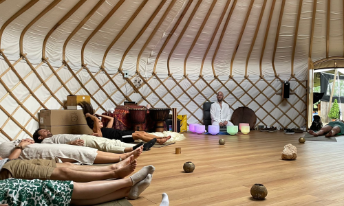 Natural Intelligence Retreats