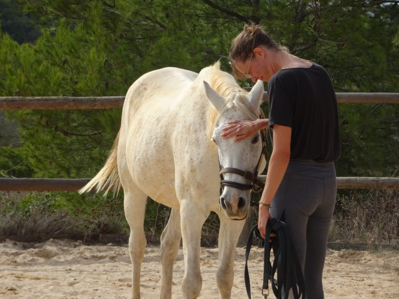 Vrouwencirkel Utrecht & Holistisch Horsemanship 