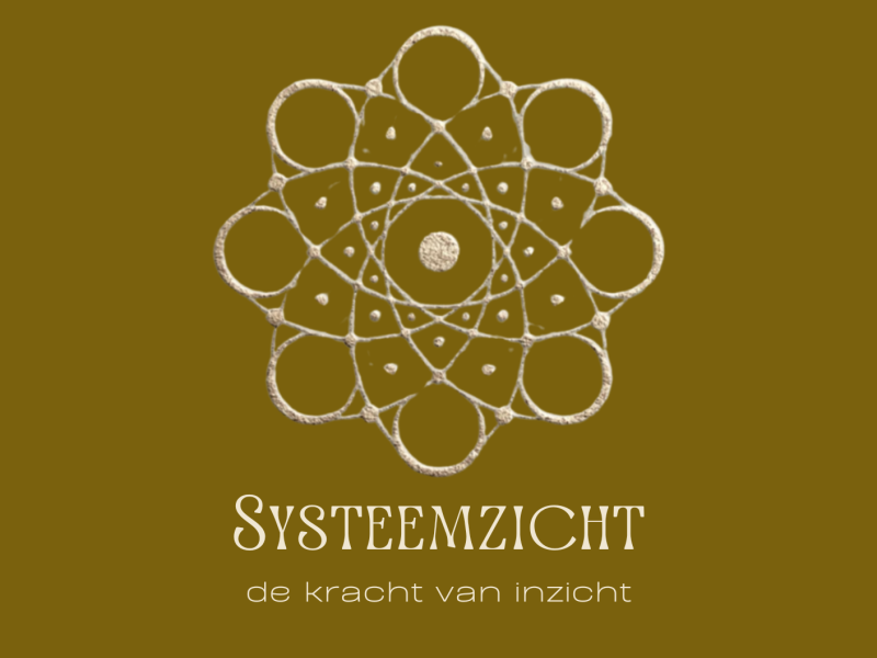 Systeemzicht
