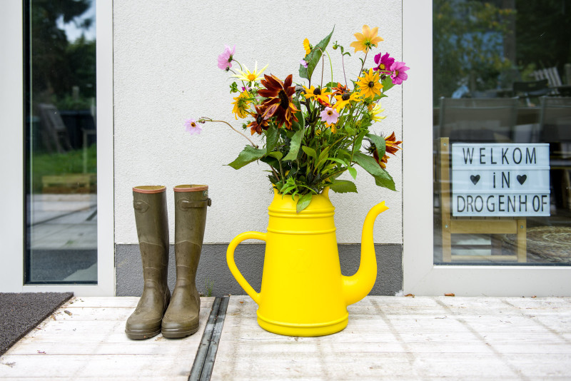 FLOW of your SOUL