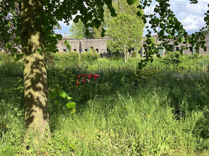 Soulengine
