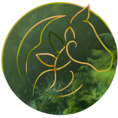 Blissful Healing & Coaching