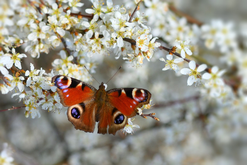 Holistische Therapie Smaragd