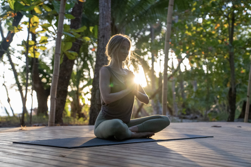 Holistic Energetics