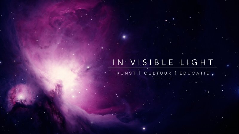 Stichting IN Visible Light