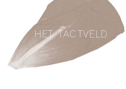 Het tactveld