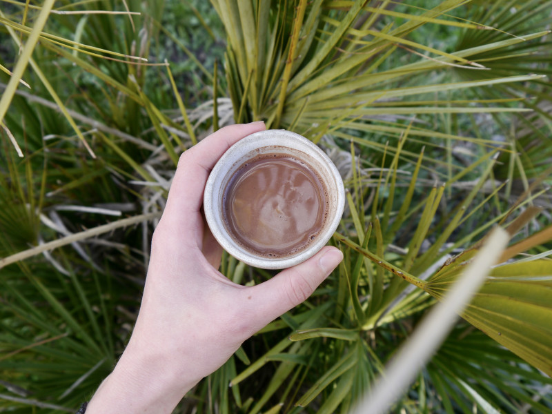 Râ cacao