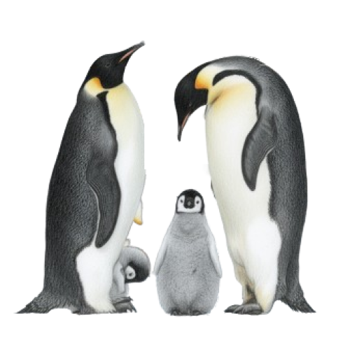 Andrea Lagro | Systemisch werk & familieopstellingen
