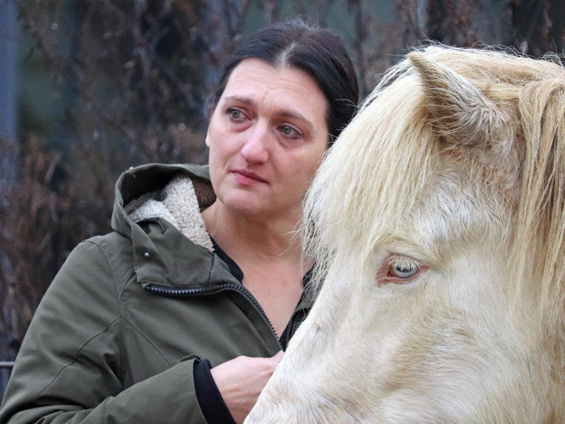 Claudia’s Paardencoaching