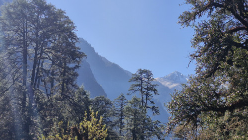 Yarana
