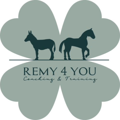 REMY4YOU Coaching & Training