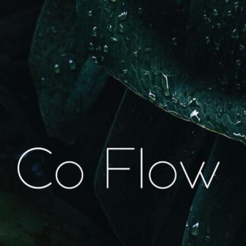CoFlow