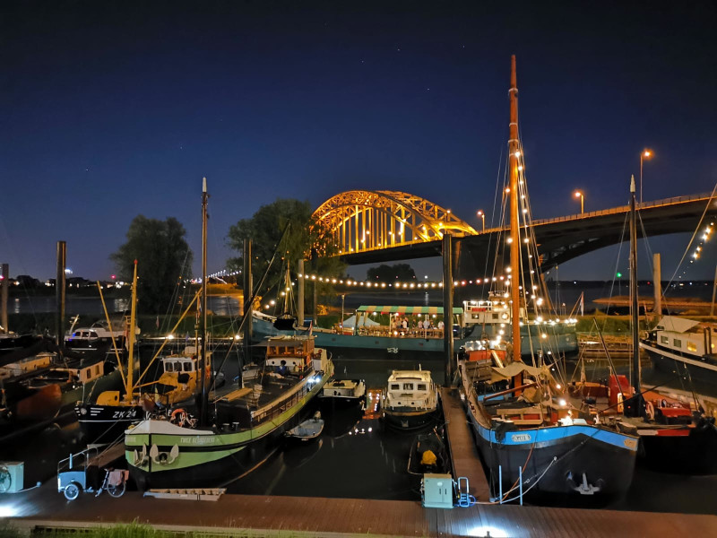 De Zeester