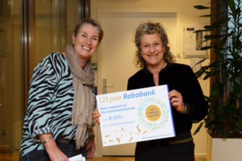 Stichting NoorderBeeld