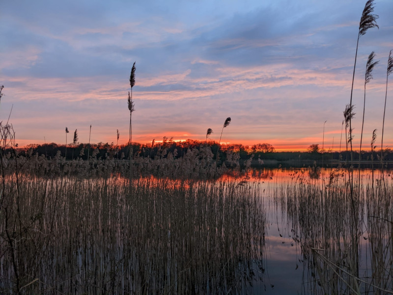 Marieke Snel - Rouw- & Systemisch begeleider 