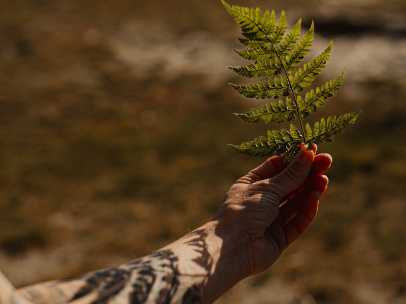 Naturaleza