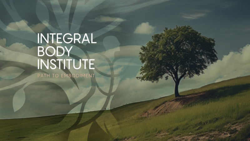 Integral Body Institute