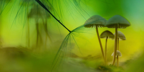 Sacred Journeys Amsterdam