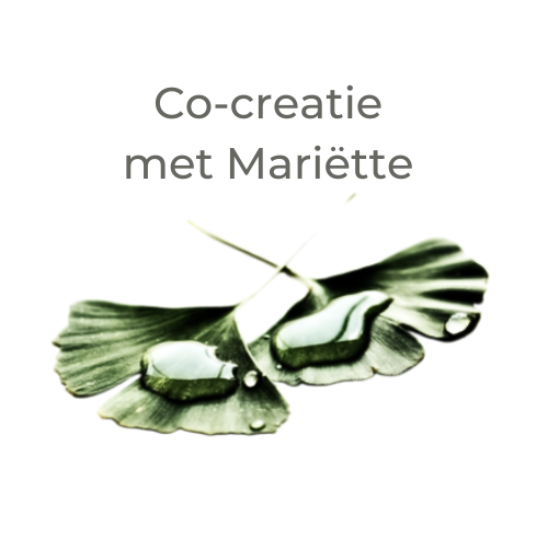 Co-creatie met Mariëtte