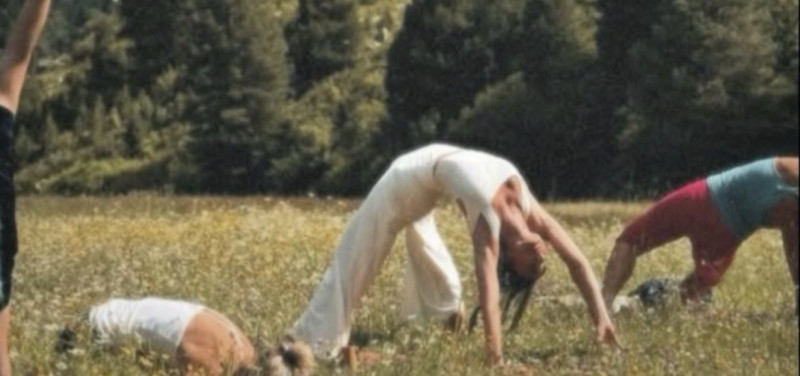 Seed Retreats
